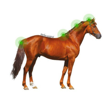 Loción Animaderm Original