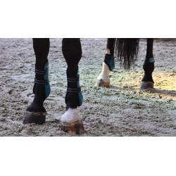 Guarniciones con protectores de menudillo Lami-Cell Elite Turquesa Azul