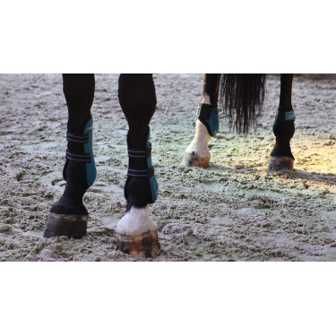 Guarniciones con protectores de menudillo Lami-Cell Elite Turquesa Azul