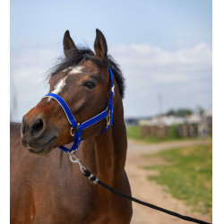 Cabezada Equithème Nylon light Azul real