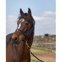 Cabezada Equithème Nylon light Negro