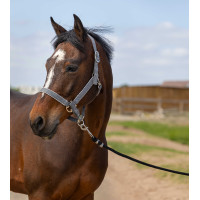 Cabezada Equithème Nylon light Negro