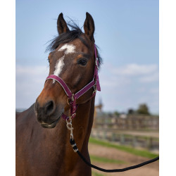 Cabezada Equithème Nylon light Burdeos