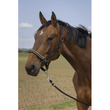 Cabezada de cuadra EQUITHÈME Nylon Chevron Negro