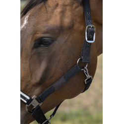 Cabezada de cuadra EQUITHÈME Nylon Chevron Negro
