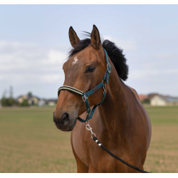 Cabezada de cuadra EQUITHÈME Nylon Chevron Verde oscuro