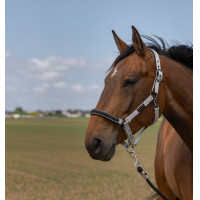 Cabezada de cuadra EQUITHÈME Nylon Chevron Negro