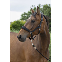 Cabezada + ramal Norton Large Negro