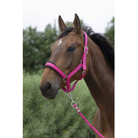 Cabezada + ramal Norton Large Frambuesa Rojo