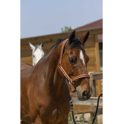 NORTON Satine Coral / negro Rojo