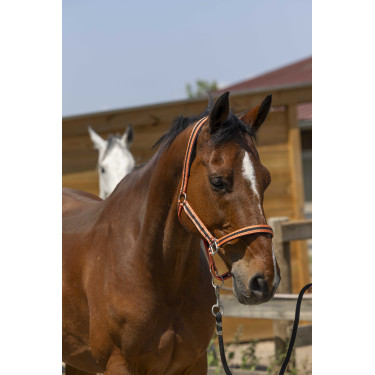 NORTON Satine Coral / negro Rojo