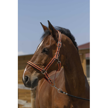 NORTON Satine Coral / negro Rojo