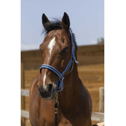 NORTON Satine Cielo / negro Azul NORTON Satine Cielo / negro Azul