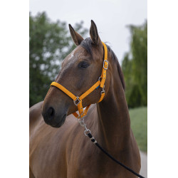NORTON Satine Naranja