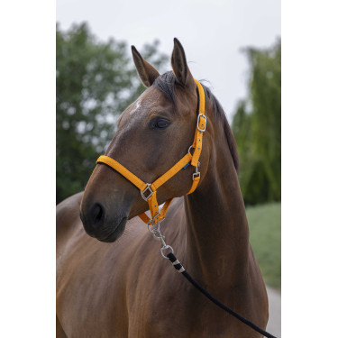 NORTON Satine Naranja
