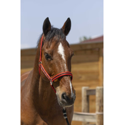 NORTON Satine Rojo / negro