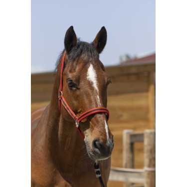 NORTON Satine Rojo / negro
