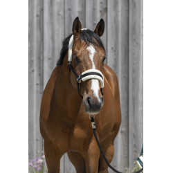 Licol Riding World borreguillo sintético Negro Licol Riding World borreguillo sintético Negro