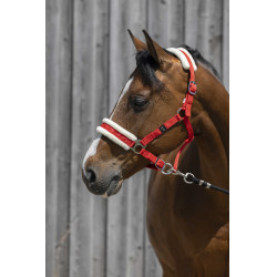 Licol Riding World borreguillo sintético Roja Rojo
