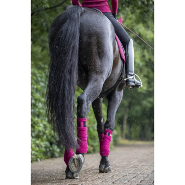 Vendas de polo Loire LeMieux Mora Burdeos