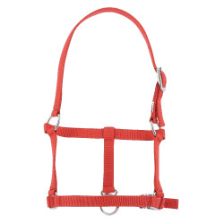 Cabezada potro Riding World Roja Rojo