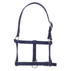 Cabezada potro Riding World Azul marino