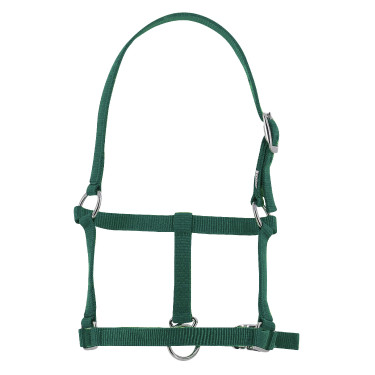 Cabezada potro Riding World Verde oscuro
