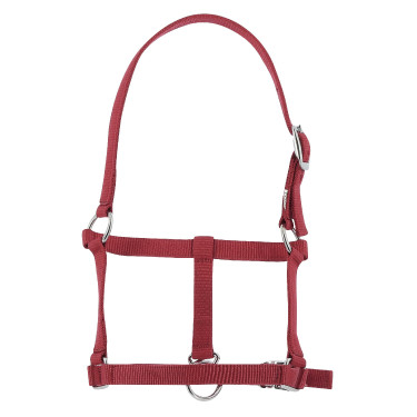 Cabezada potro Riding World Burdeos Cabezada potro Riding World Burdeos