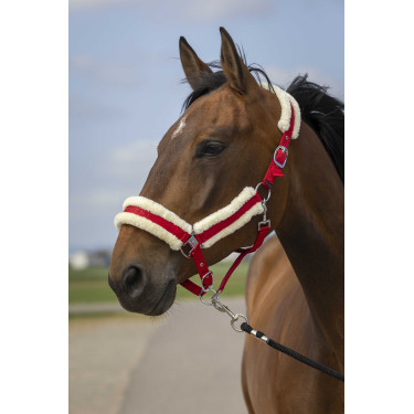 Cabezada de cuadra EQUITHÈME Nylon Mouton