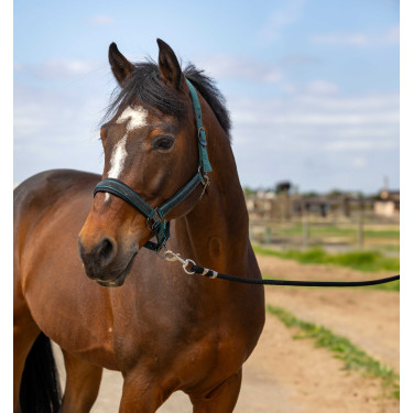 Cabezada de cuadra EQUITHÈME Nylon Strass Verde Cabezada de cuadra EQUITHÈME Nylon Strass Verde
