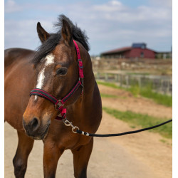 Cabezada de cuadra EQUITHÈME Nylon Strass Burdeos