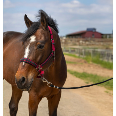 Cabezada de cuadra EQUITHÈME Nylon Strass Burdeos Cabezada de cuadra EQUITHÈME Nylon Strass Burdeos