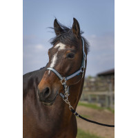 Cabezada Norton Nylon Suave Verde oscuro