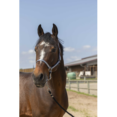 Cabezada Norton Nylon Suave Azul marino