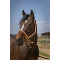 Cabezada Norton Nylon Suave Naranja