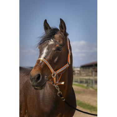 Cabezada Norton Nylon Suave Naranja