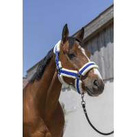 Cabezada Norton Cosy Azul real