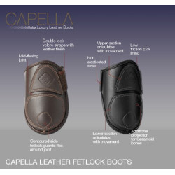 Protectores de tendón Capella LeMieux Protectores de tendón Capella LeMieux