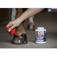 Ungüento natural LEOVET Huf Lab con pincel