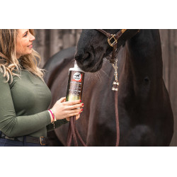 Alimento complementario Leovet Elixir Bronquios jarabe