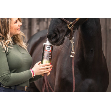 Alimento complementario Leovet Elixir Bronquios jarabe