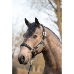 Cabezada de cuadra Capella LeMieux Negro Cabezada de cuadra Capella LeMieux Negro