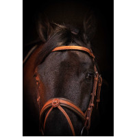 Cabezada PENELOPE Elegance Coñac Marrón