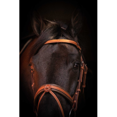 Cabezada PENELOPE Elegance Coñac Marrón