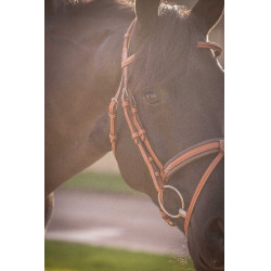 Cabezada PENELOPE Elegance Coñac Marrón