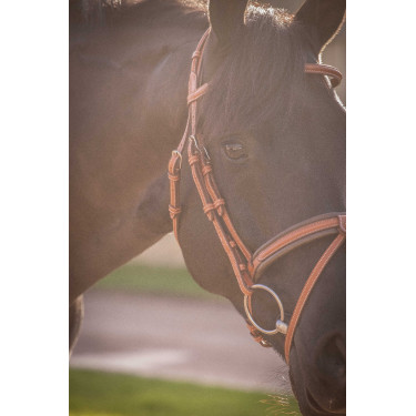 Cabezada PENELOPE Elegance Coñac Marrón