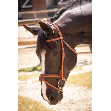 Cabezada PENELOPE Elegance Coñac Marrón