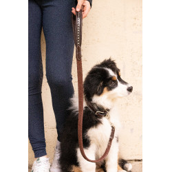 Correa para perros Pénélope Rubber Havana Marr&amp;amp;amp;oacute;n