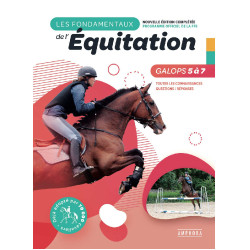 Los fundamentos Galopes 5 a 7