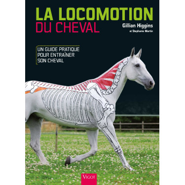La Locomoción del Caballo